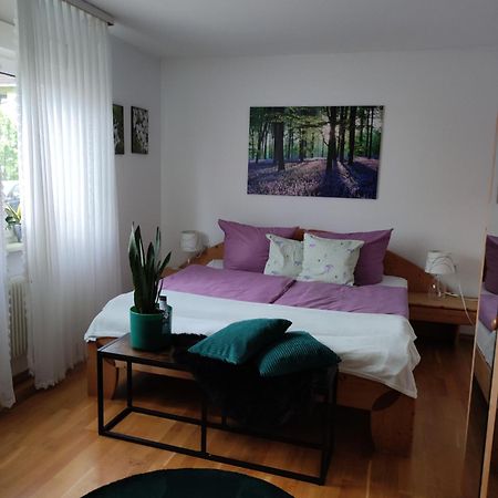 Ferienwohnung Sartorius ベンスハイム エクステリア 写真